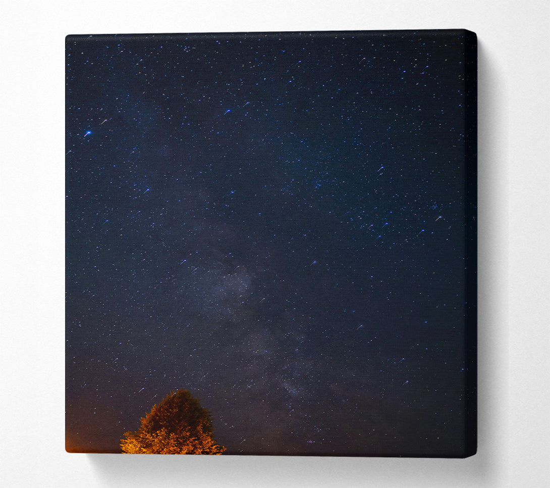  A Canvas Print of Blue Night Sky Stars Canvas Wall Art
