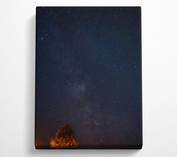  A Canvas Print of Blue Night Sky Stars Canvas Wall Art