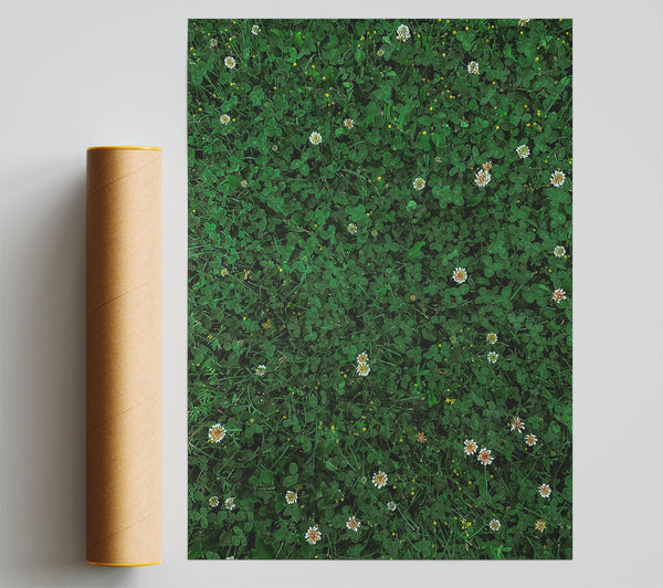 Emerald Clover Field Print