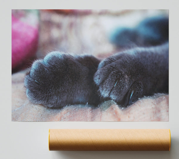 Gray Cat Paws Resting Giclee Print