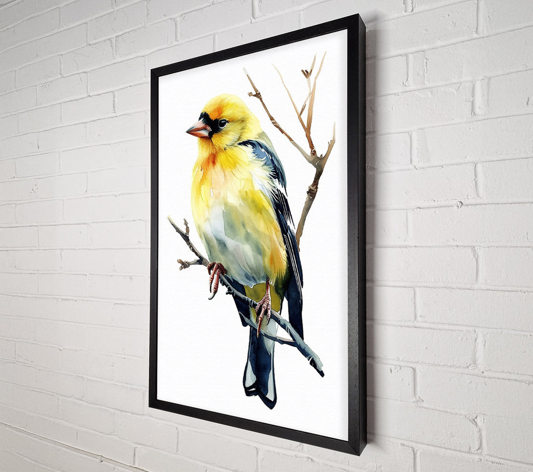  A Canvas Print of Golden Bird On Branch Canvas Print