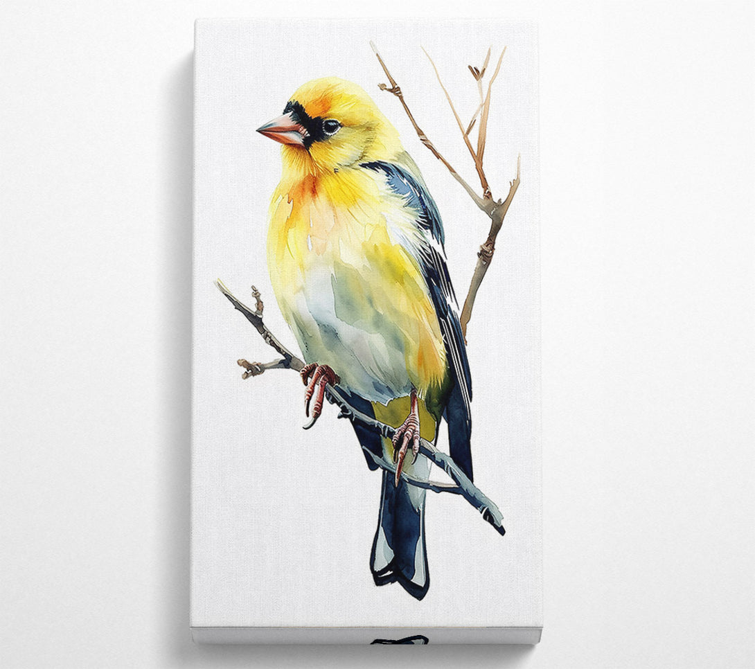  A Canvas Print of Golden Bird On Branch Canvas Print