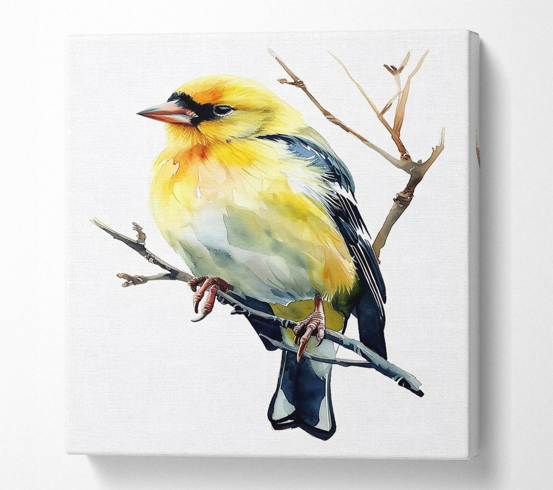  A Canvas Print of Golden Bird On Branch Canvas Print