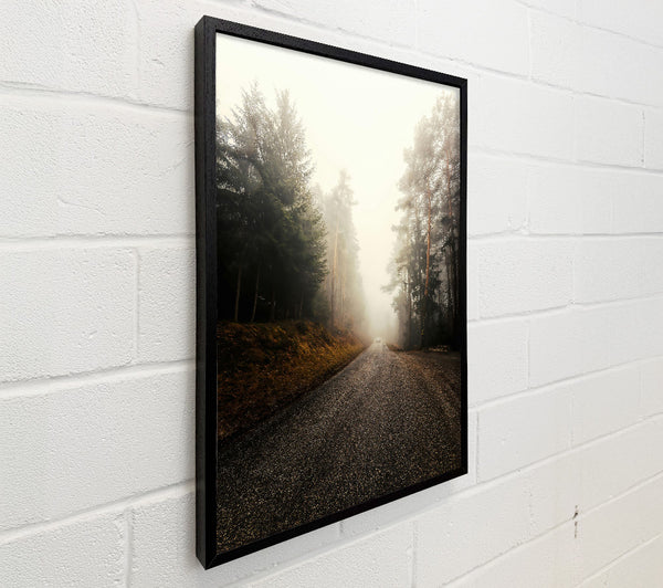 Golden Foggy Road