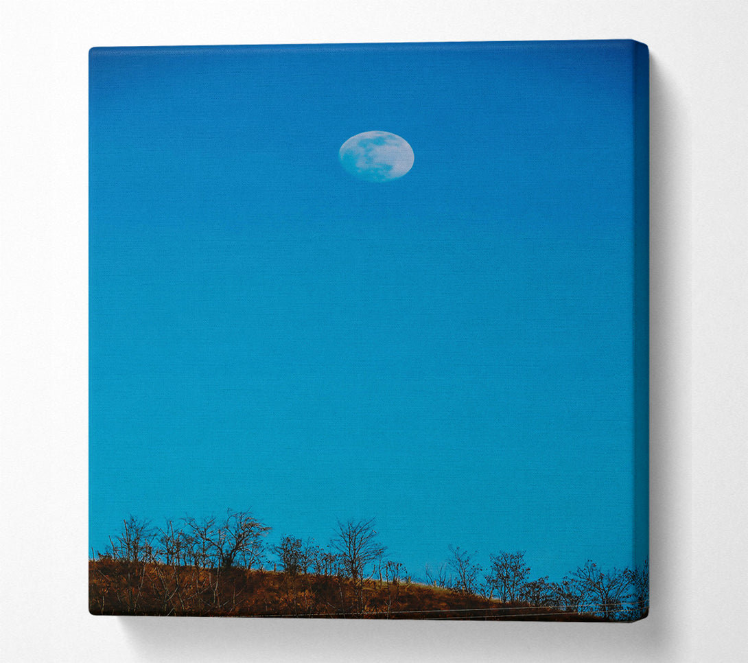  A Canvas Print of Blue Sky Moonrise Canvas Print