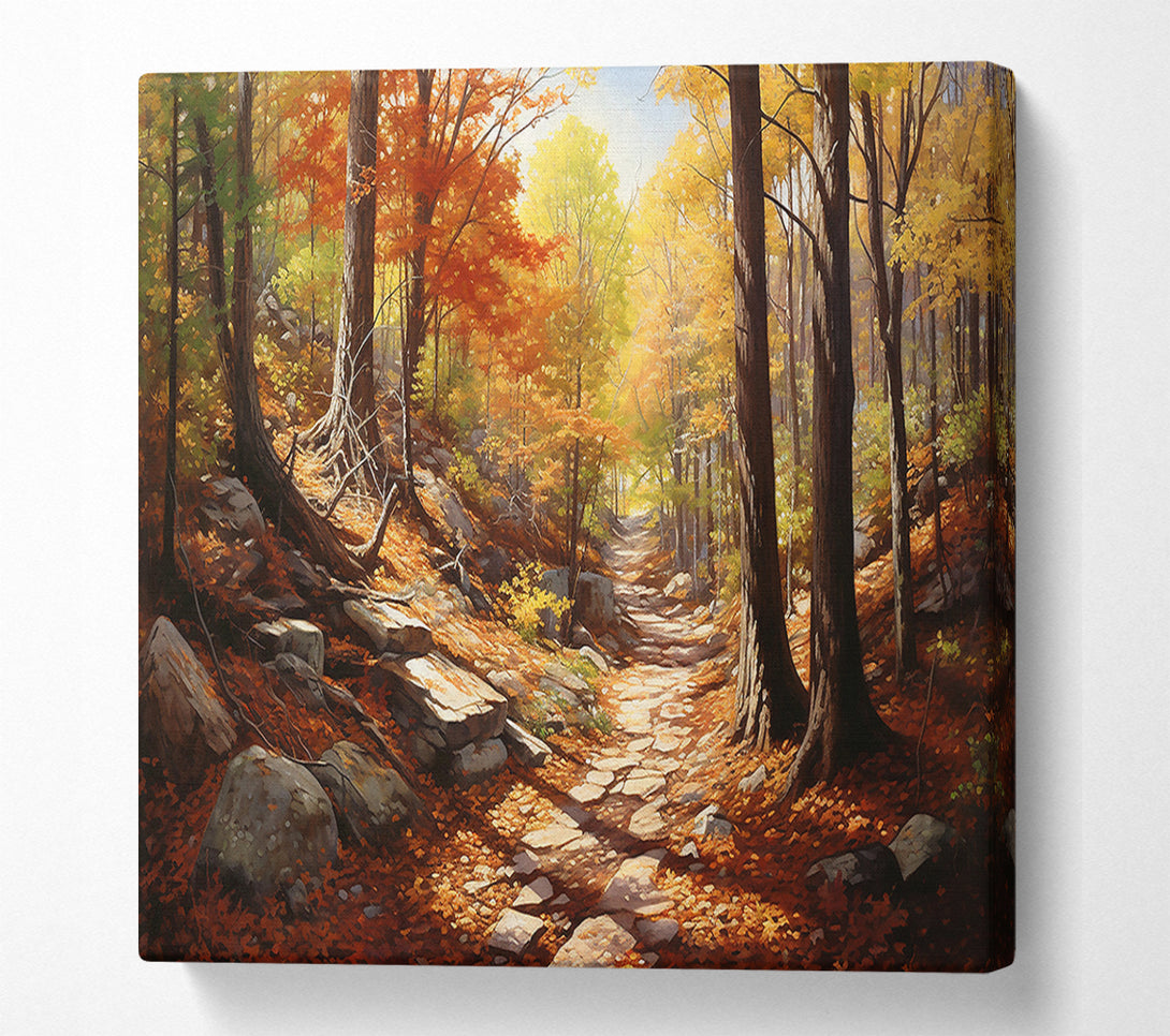 A Canvas Print of Golden Autumn Path Canvas Print