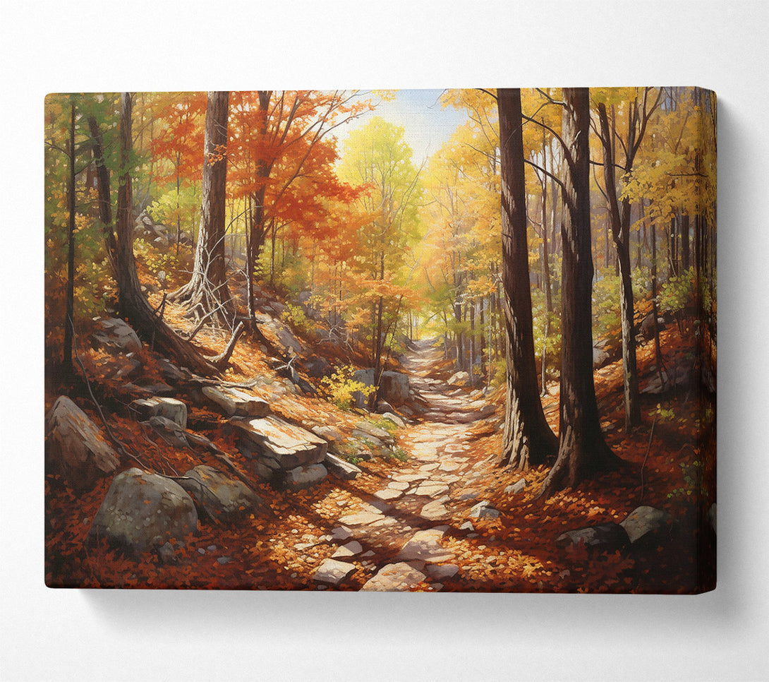  A Canvas Print of Golden Autumn Path Canvas Print