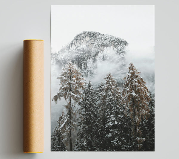 White Mist & Brown Pines Giclee Print