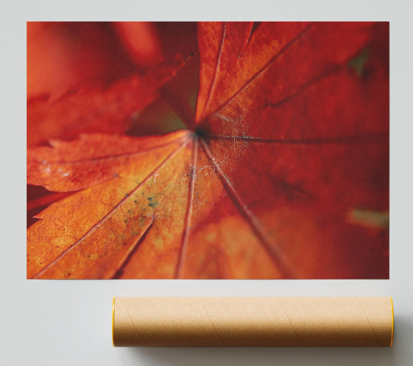 Crimson Leaf Veins Giclee Print