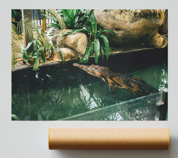 Green Pond Lurker Print