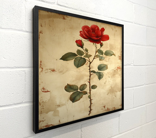 Crimson Rose On Canvas