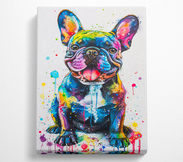  A Canvas Print of Blue Frenchie Splash Canvas Art