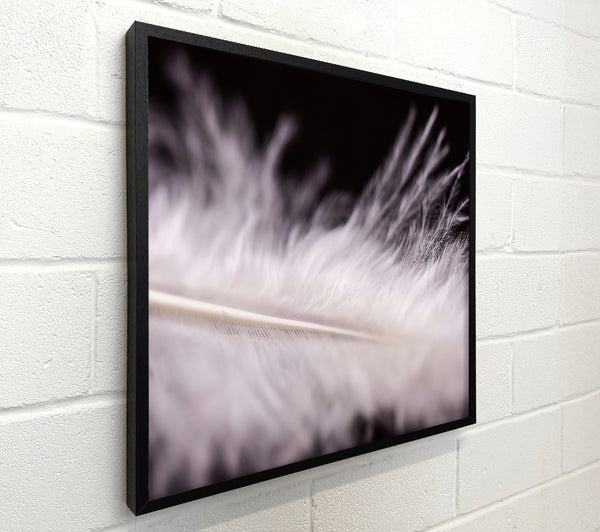 White Feather Lightness