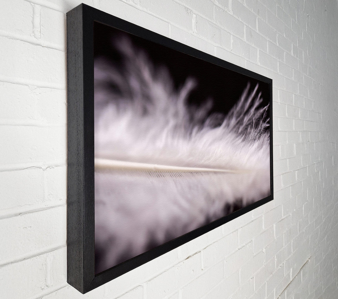  A Canvas Print of White Feather Lightness Canvas Wall Art