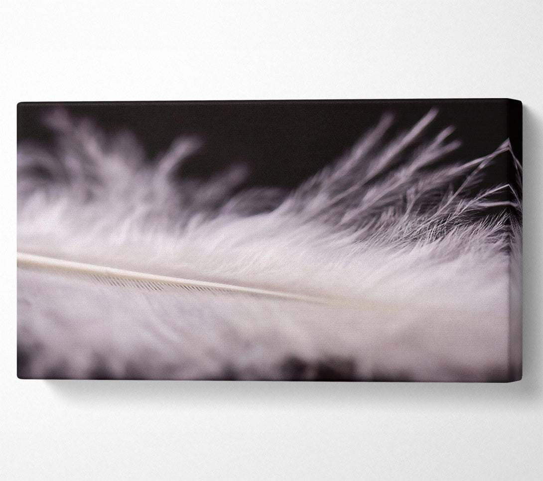  A Canvas Print of White Feather Lightness Canvas Wall Art