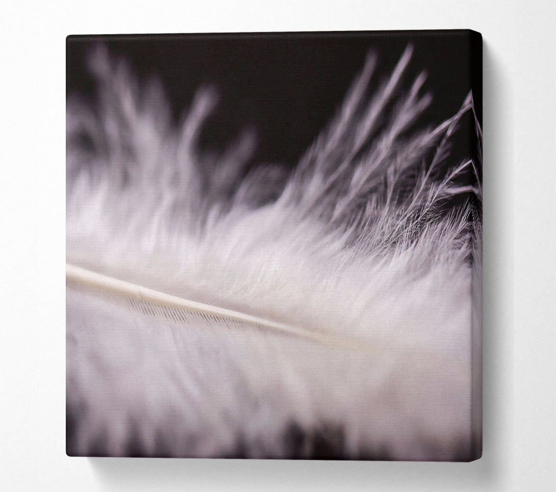  A Canvas Print of White Feather Lightness Canvas Wall Art