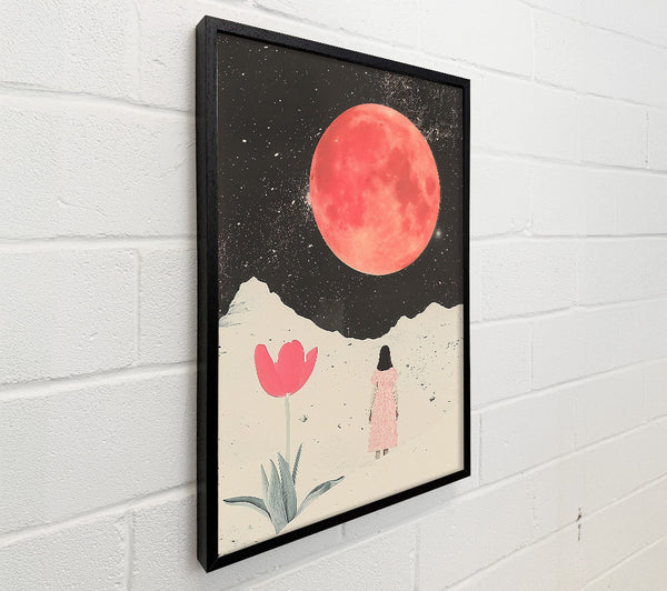 Pink Moon Bloom