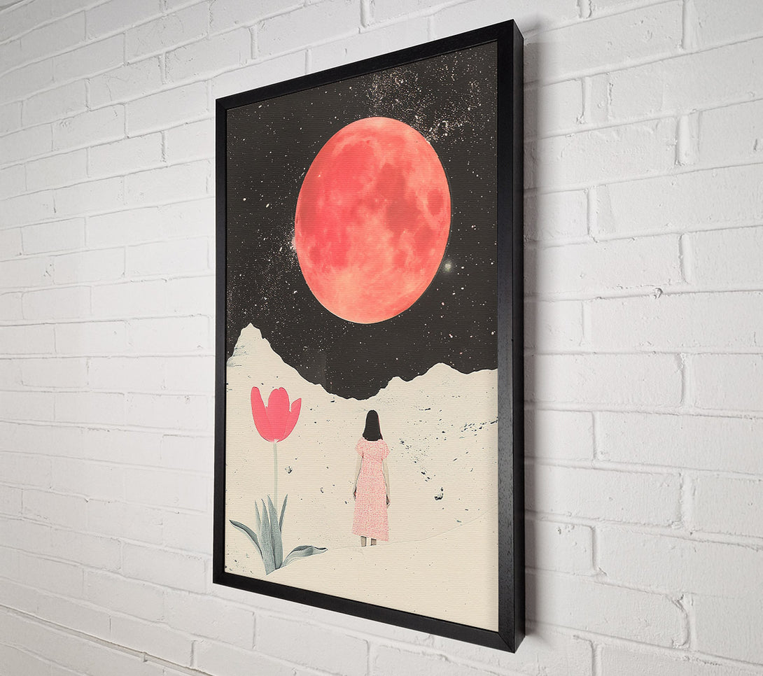  A Canvas Print of Pink Moon Bloom Canvas Art