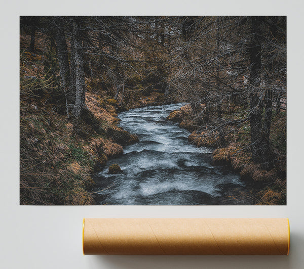 Blue Stream Through Woods Giclee Print