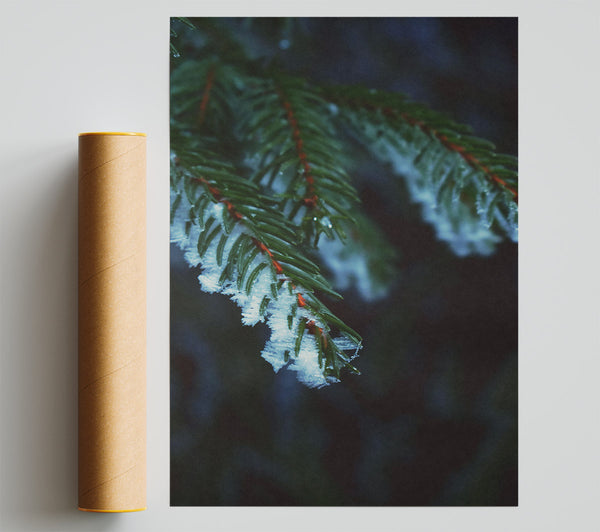 Frozen Green Sprig Print