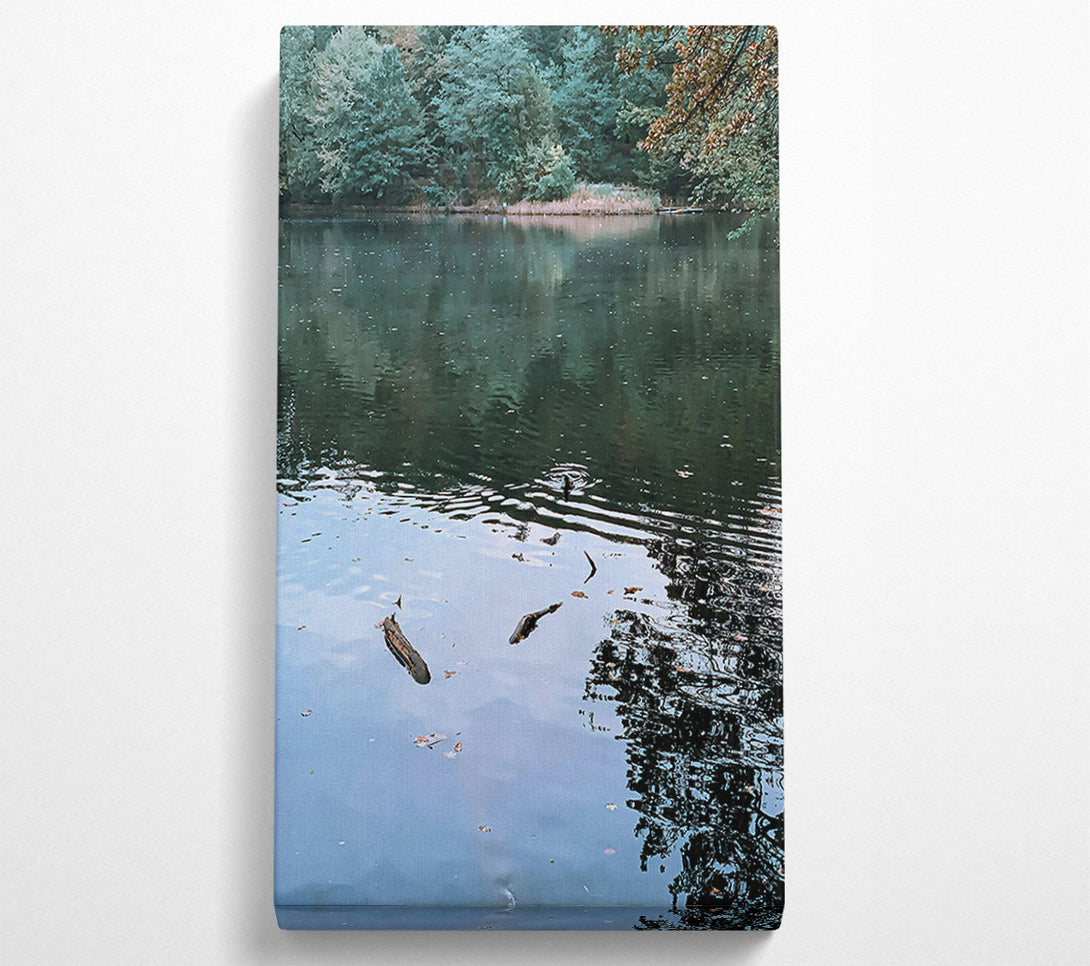  A Canvas Print of Serene Blue Reflections Canvas Art