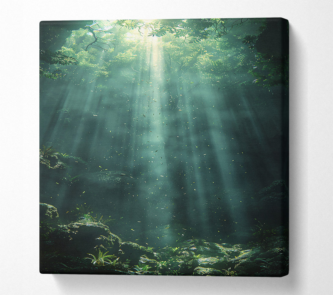  A Canvas Print of Emerald Forest Light Canvas Print