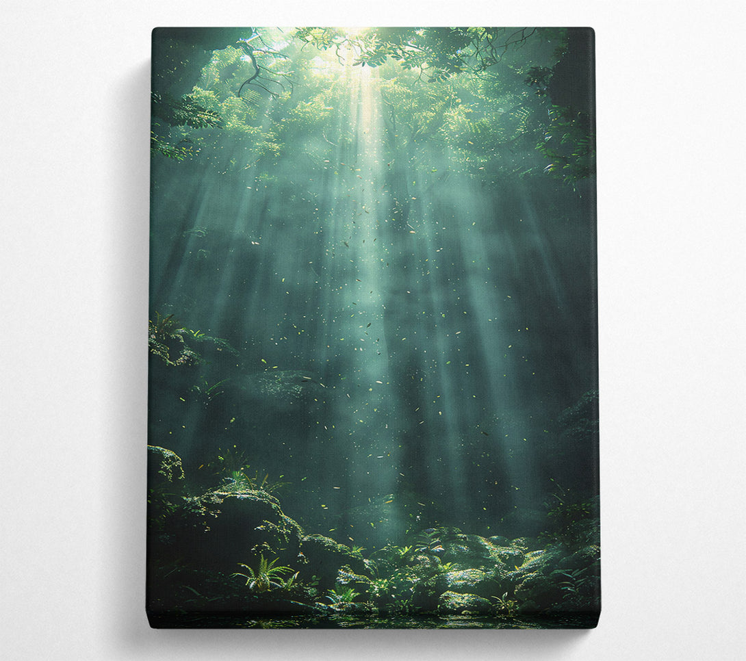  A Canvas Print of Emerald Forest Light Canvas Print
