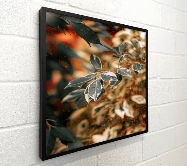 Golden Leaves Through Glass