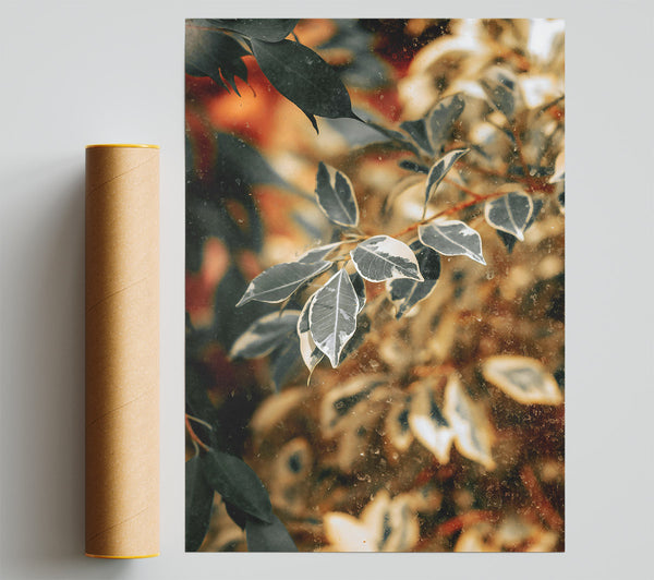 Golden Leaves Through Glass Giclee Print