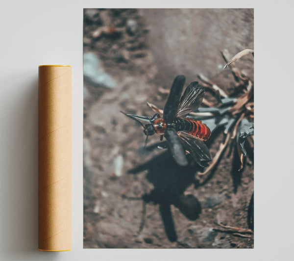 Black & Red Wings Print