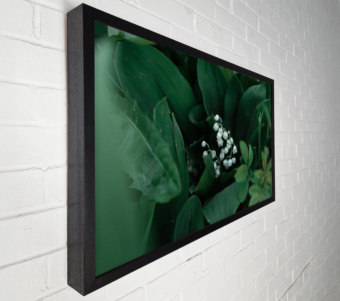  A Canvas Print of Emerald Lily Bloom Canvas Print