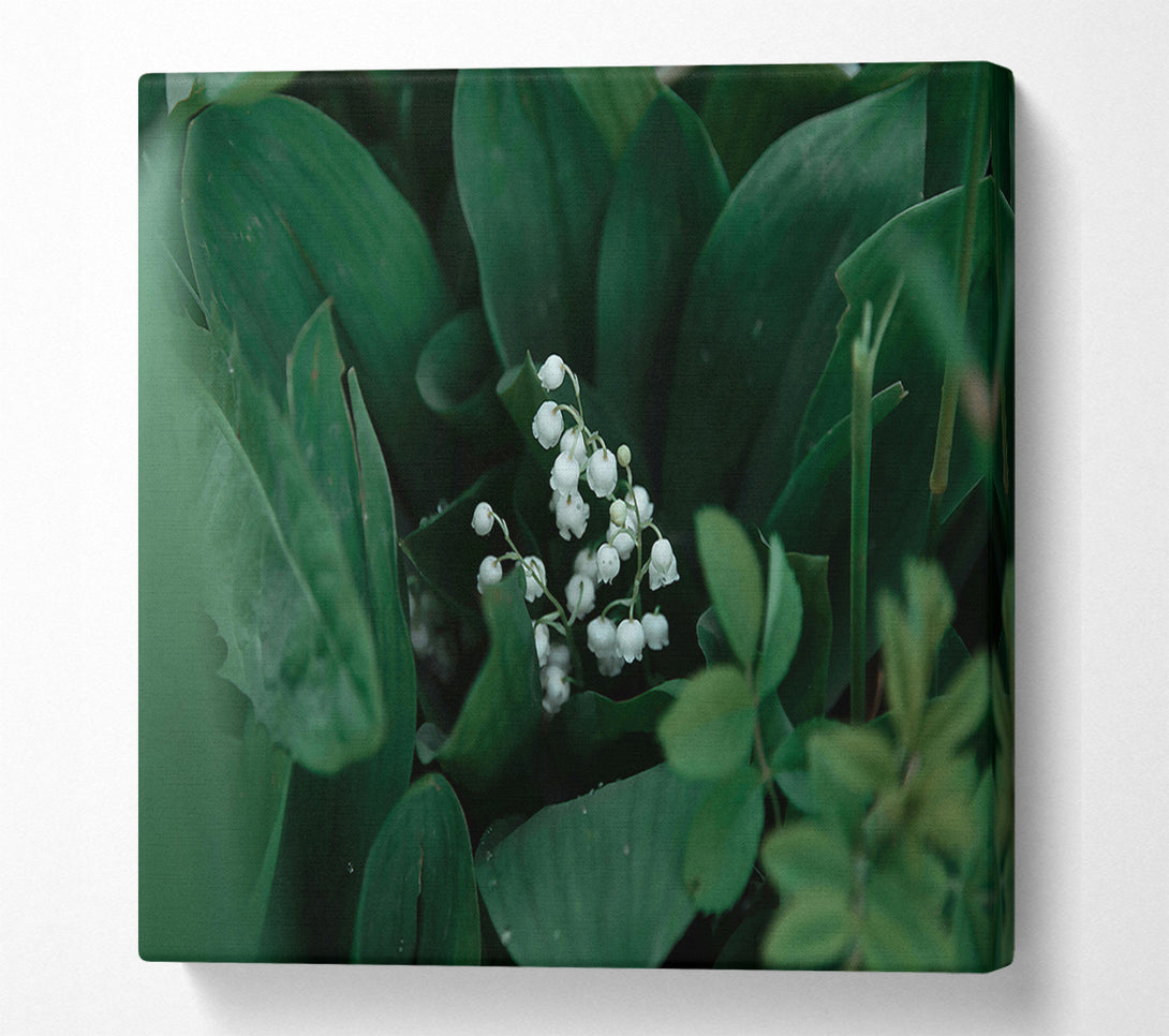  A Canvas Print of Emerald Lily Bloom Canvas Print
