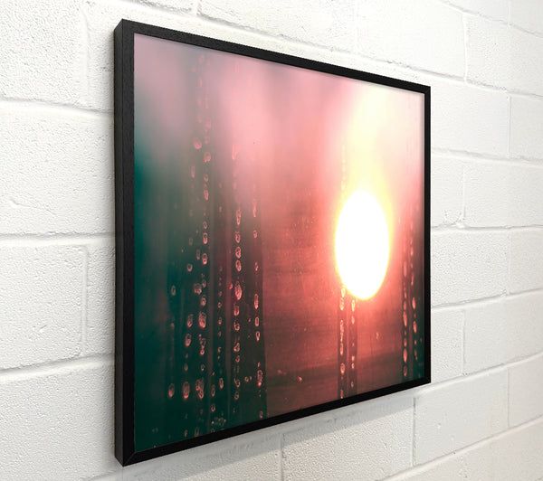 Pink Sunset Through Glass
