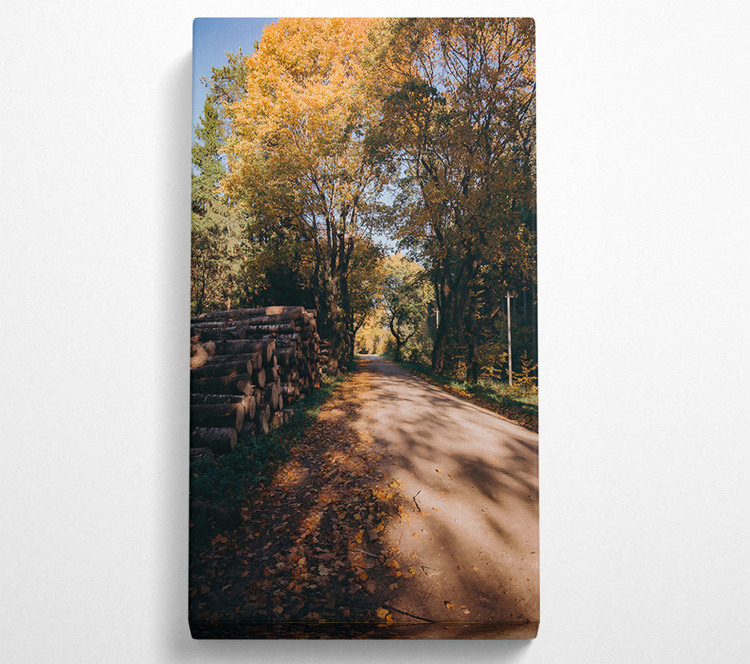  A Canvas Print of Golden Path Through Woods Canvas Wall Art