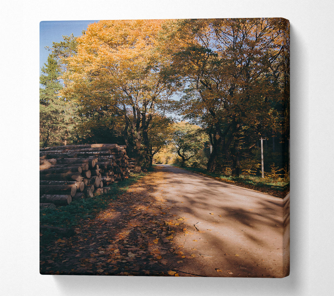  A Canvas Print of Golden Path Through Woods Canvas Wall Art