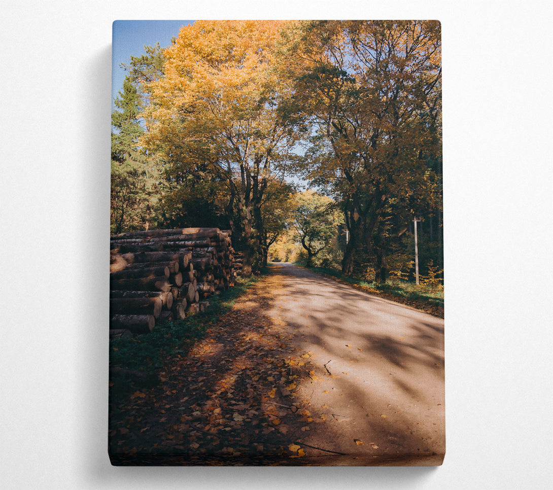  A Canvas Print of Golden Path Through Woods Canvas Wall Art