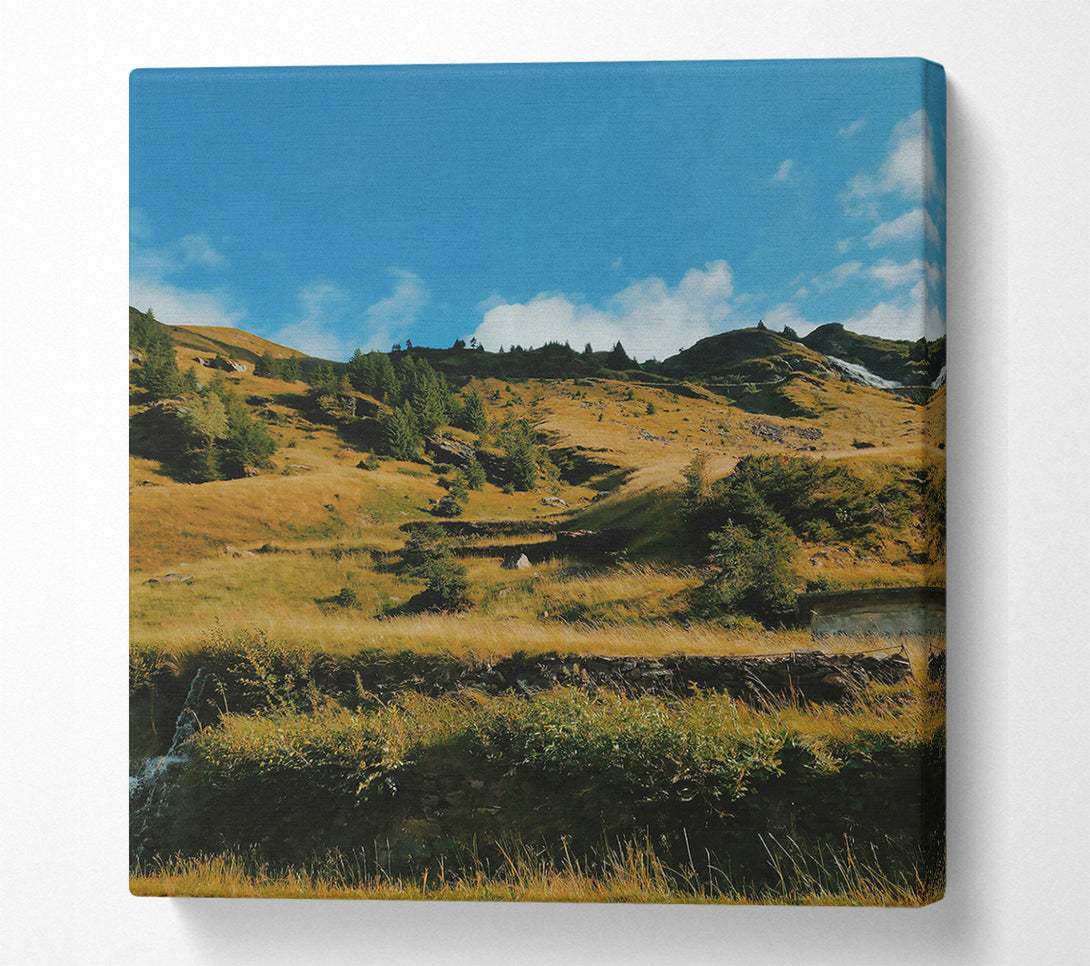  A Canvas Print of Golden Mountain Stream Canvas Wall Art
