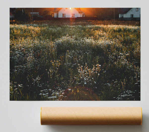 Golden Dewy Field Poster