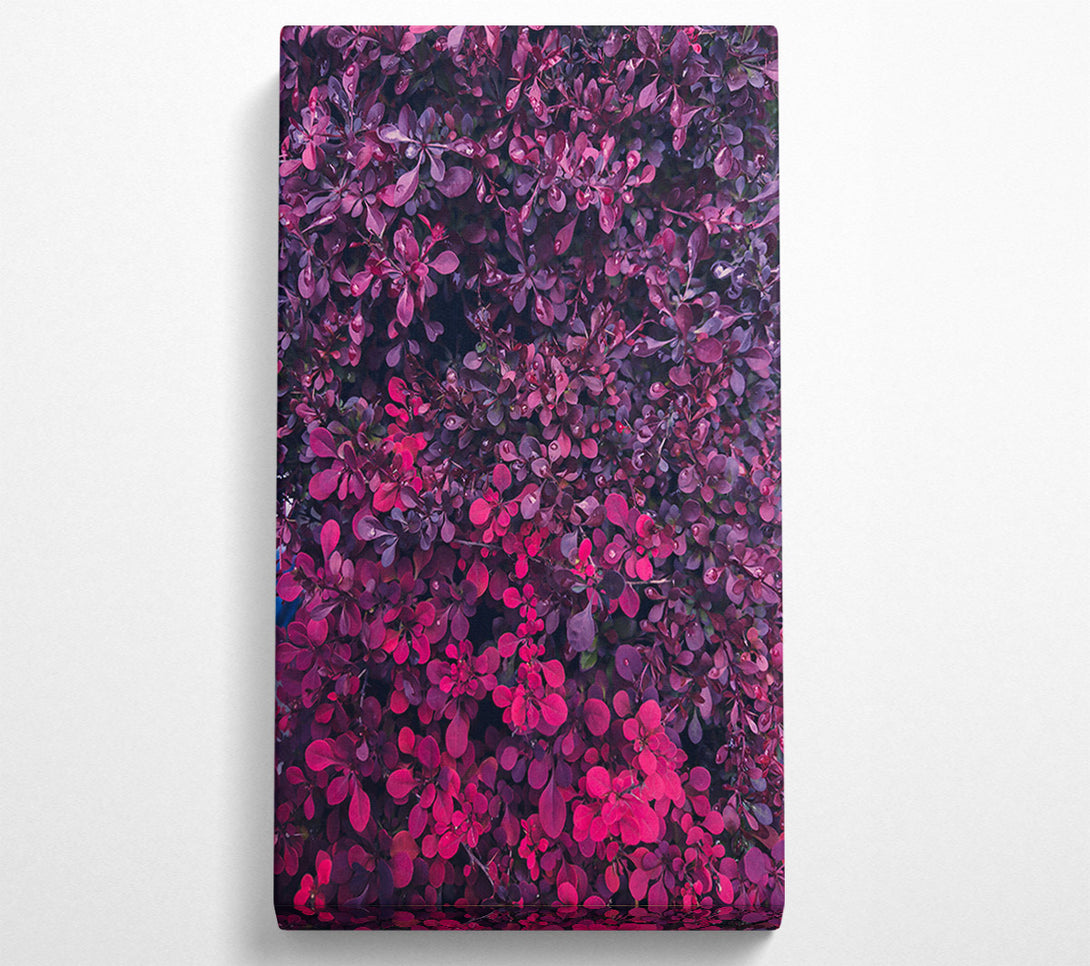  A Canvas Print of Crimson Leaf Symphony Canvas Wall Art