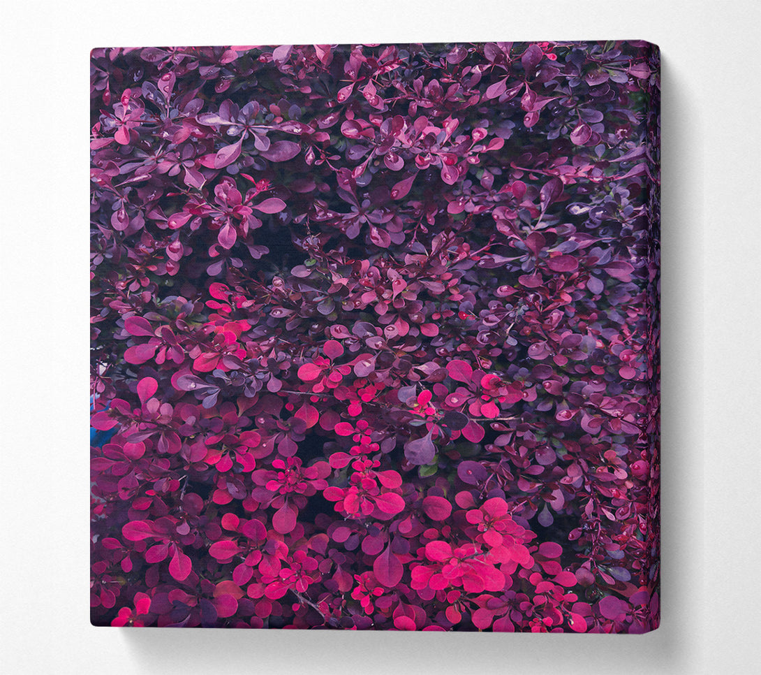  A Canvas Print of Crimson Leaf Symphony Canvas Wall Art