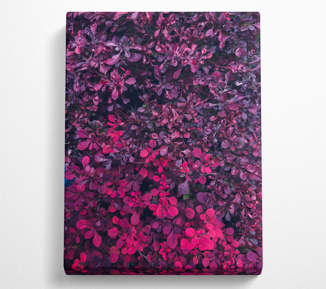  A Canvas Print of Crimson Leaf Symphony Canvas Wall Art