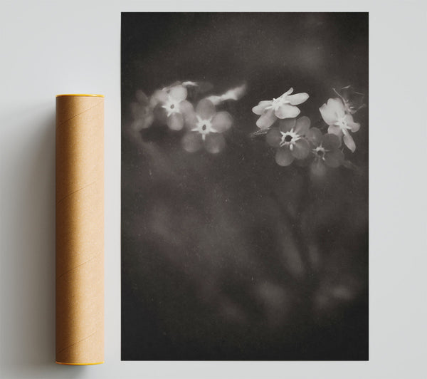 Dusty Grey Blooms Poster