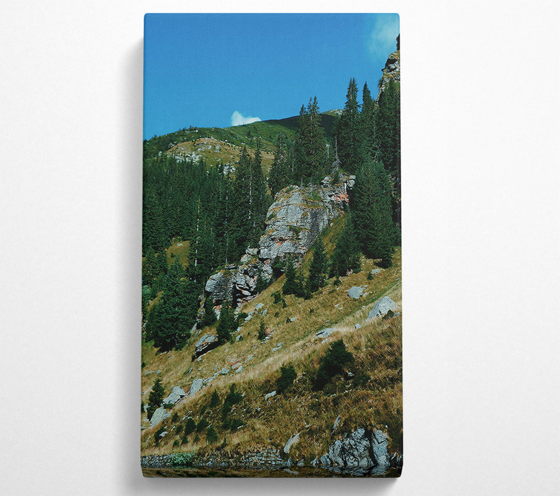  A Canvas Print of Grey Mountainside Pines Canvas Wall Art