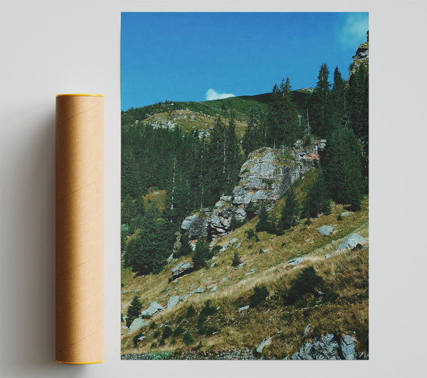 Grey Mountainside Pines Giclee Print