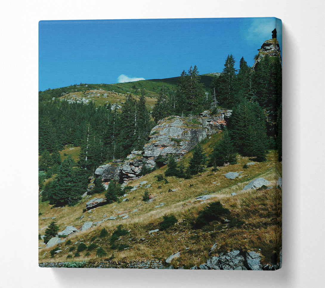  A Canvas Print of Grey Mountainside Pines Canvas Wall Art