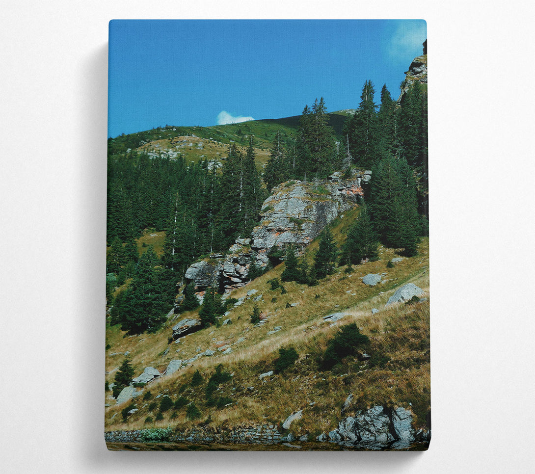  A Canvas Print of Grey Mountainside Pines Canvas Wall Art