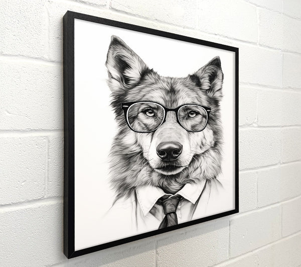 Black And White Wolf In Glasses