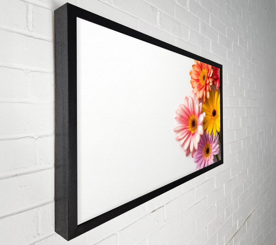  A Canvas Print of Gerbera Gathering Canvas Wall Art
