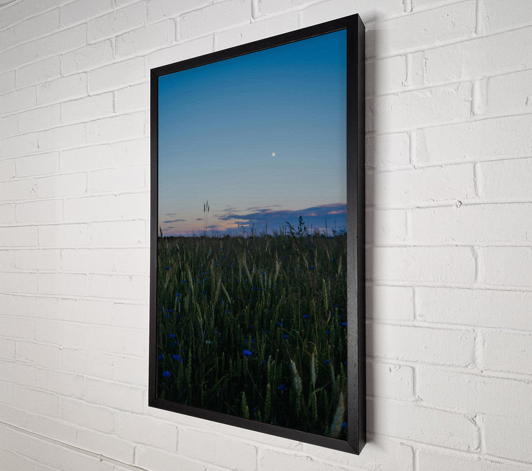  A Canvas Print of Blue Dusk Field Canvas Art