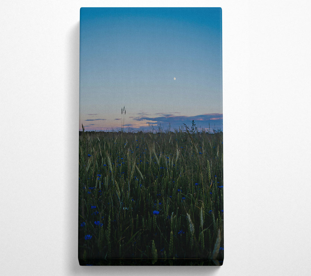  A Canvas Print of Blue Dusk Field Canvas Art